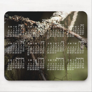 SkogFuzz; Kalender 2013 Musmatta