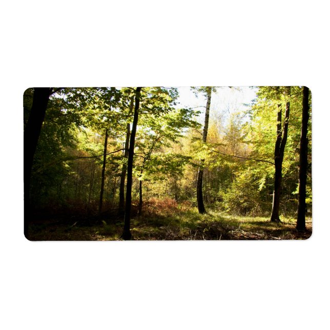 Skoggla Fraktsedel (Framsidan)