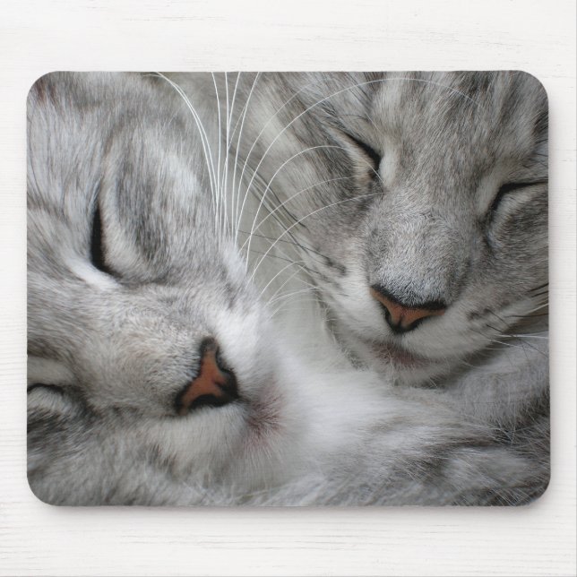 Skogkattmusmatta Musmatta (Framsidan)