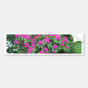 SkogRhododendron Bildekal