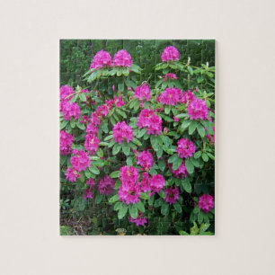 SkogRhododendron Pussel