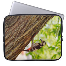 Skogs hackspett vilda natur foto