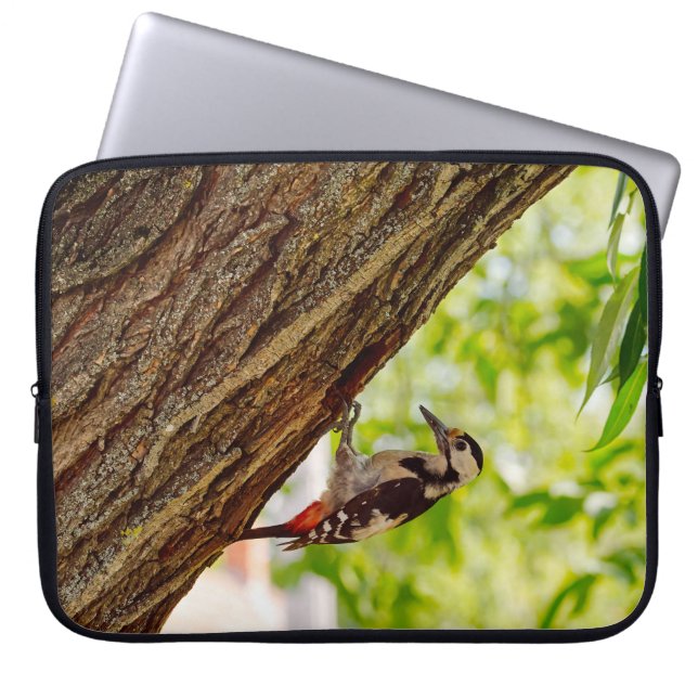 Skogs hackspett vilda natur foto laptop fodral (Framsidan)