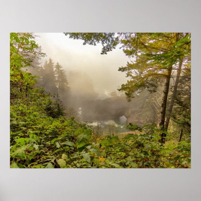 Skogs- och havslandskap poster (Framsidan)