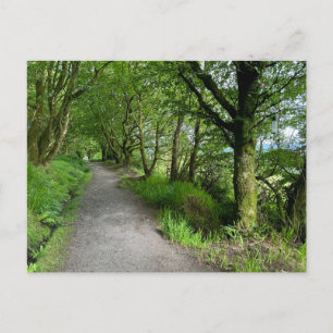 Skogsbanan på Isle of Bute Scotland på en Helg Vykort