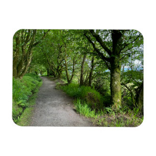 Skogsbanan på Isle of Bute Scotland på en Magnet