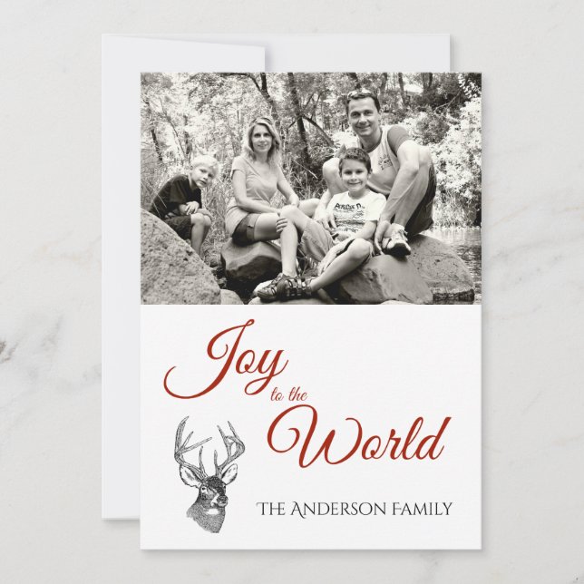 Skogsbesättningar (Framsida)