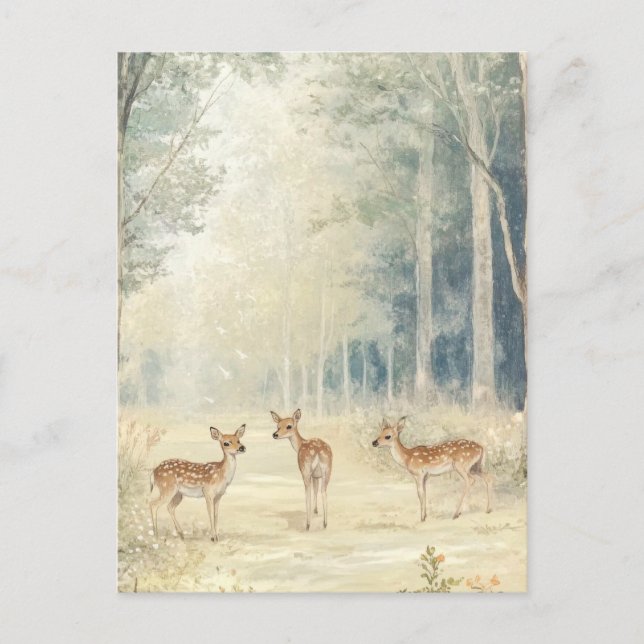 Skogsbesättningar Vykort (Framsida)