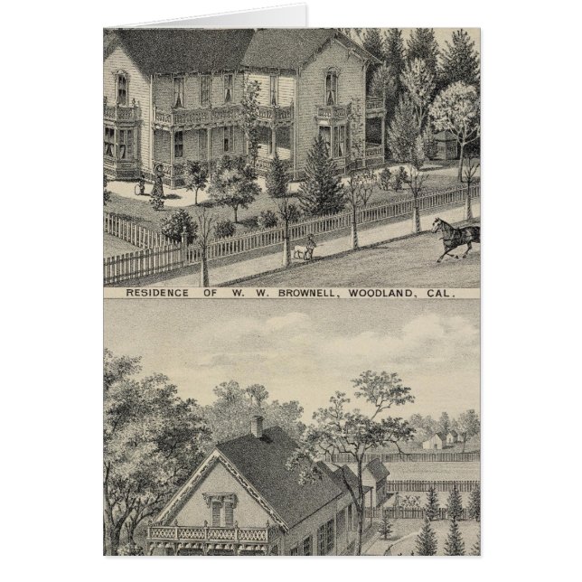 Skogsbestånd Hälsningskort (Framsidan)