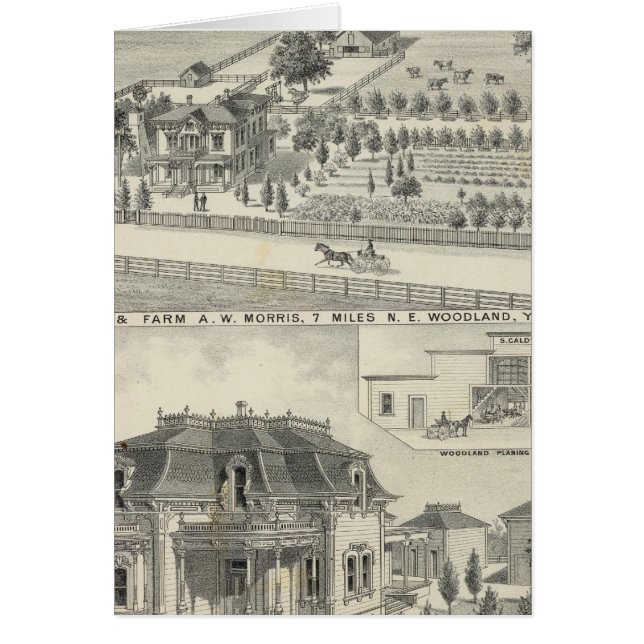 Skogsbestånd, jordbruk hälsningskort (Framsidan)