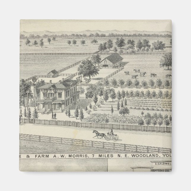 Skogsbestånd, jordbruk magnet (Framsidan)