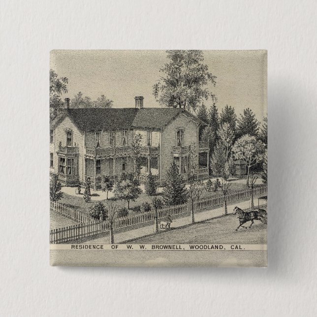 Skogsbestånd Knapp (Framsida)