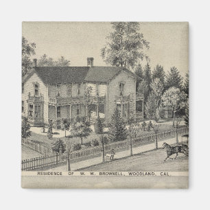 Skogsbestånd Magnet