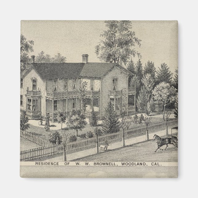 Skogsbestånd Magnet (Framsidan)