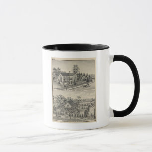 Skogsbestånd Mugg
