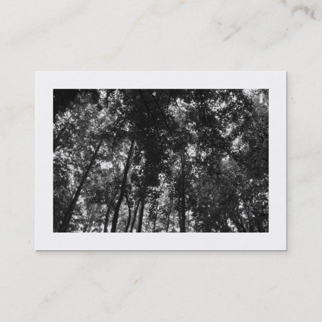 Skogsbeståndet (Canopy 01 BW) Visitkort (Framsida)