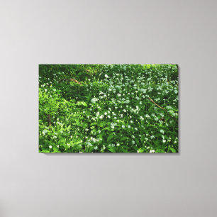 Skogsblommor Canvastryck