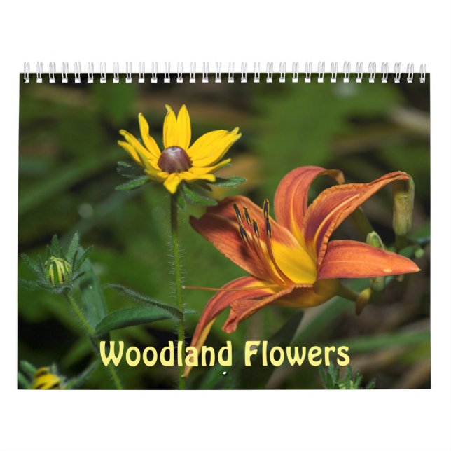 Skogsblommor Kalender (Omslag)