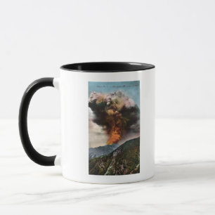 Skogsbrand beskådar i berg mugg