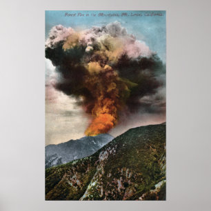 Skogsbrand beskådar i berg poster