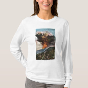Skogsbrand beskådar i berg tee