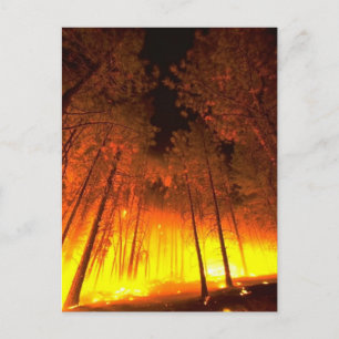 Skogsbrand Vykort