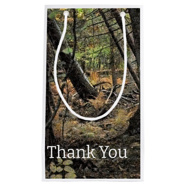 Skogscen i höst (Framsidan)