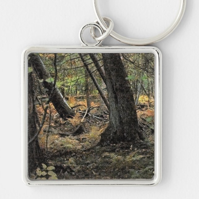 Skogscen i höst fyrkantig silverfärgad nyckelring (Framsidan)