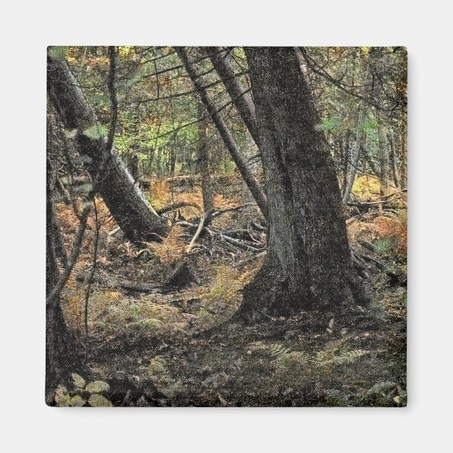 Skogscen i höst magnet (Framsidan)