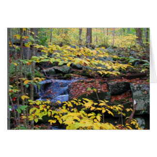 Skogscen i höst OBS kort