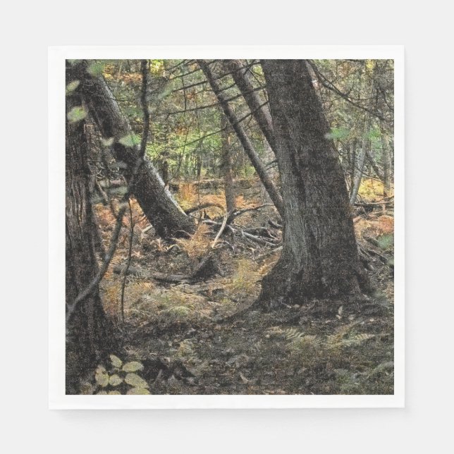 Skogscen i höst pappersservett (Framsidan)