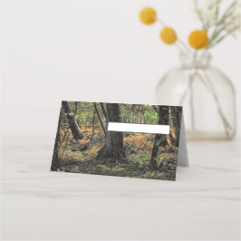 Skogscen i höst placeringskort