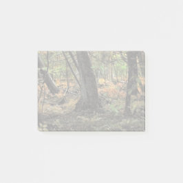 Skogscen i höst post-it block