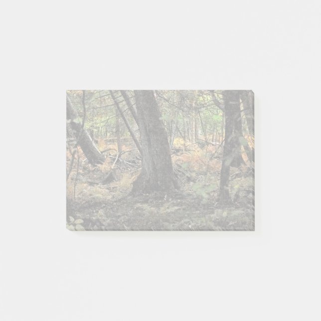 Skogscen i höst post-it block (Framsida)