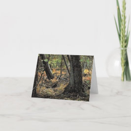 Skogscen i höst tack kort