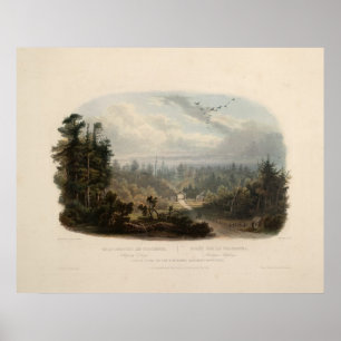 Skogscen i Tobihanna, bergen i Alleghany Poster