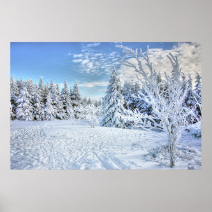Skogscen i Vinter Snö Poster
