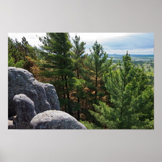 Skogsdalsutsikt vid Castle Mound Poster (Framsidan)