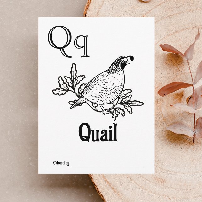 Skogsdjur ABC-färgläggning Baby Shower-aktivitet Vykort (Letter Q - Color Your Own Baby's First ABC's Keepsake Cards)