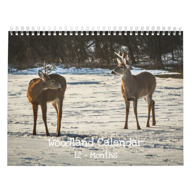 Skogsdjur Natur  Kalender (Omslag)