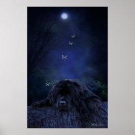 Skogsdreamer Poster
