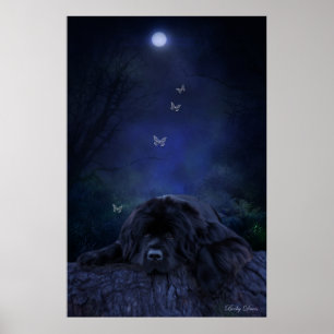 Skogsdreamer Poster