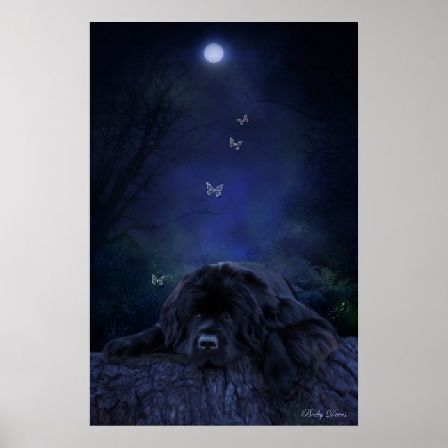 Skogsdreamer Poster (Framsidan)