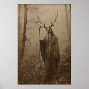Skogsdruid, Vintagefotografi, Konst Poster