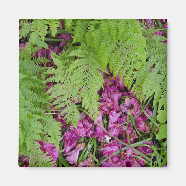 Skogsfärger med rosa blomblad på marken magnet (Framsidan)