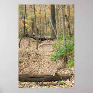 Skogsfönster Poster
