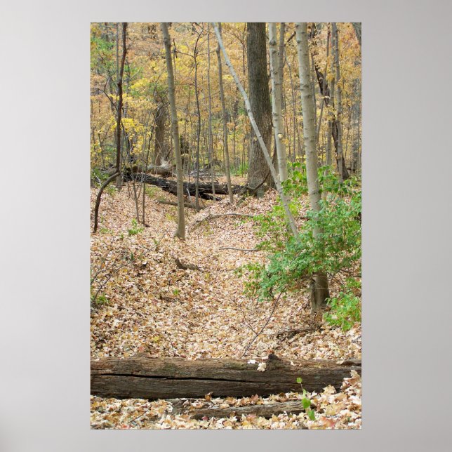 Skogsfönster Poster (Framsidan)