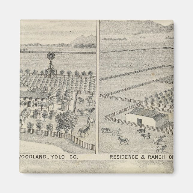 Skogsföretag Magnet (Framsidan)