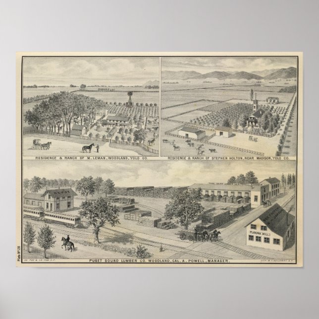 Skogsföretag Poster (Framsidan)