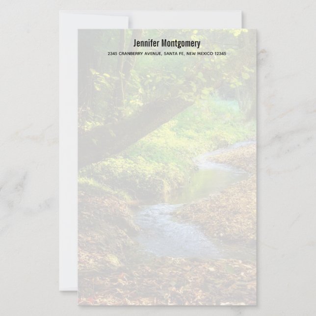 Skogsfoto för Bäck vackra naturområde (Framsida)